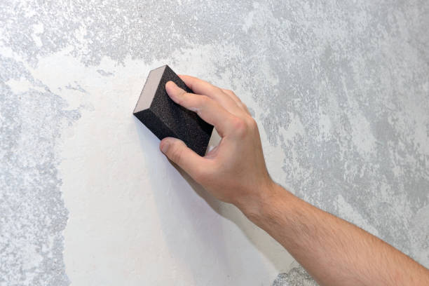 Best Water Damage & Mold Remediation  in Blountstown, FL