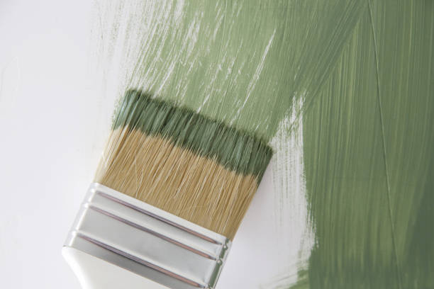 Mold Documentation for Insurance Claims in Blountstown, FL