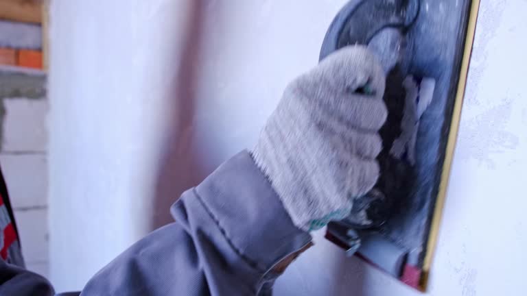 Best Industrial Mold Remediation  in Blountstown, FL