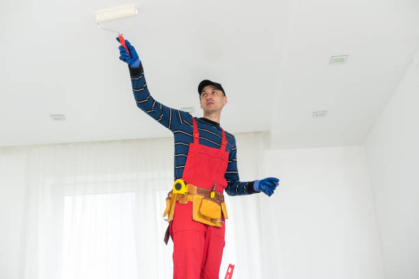 Best Mold Damage Restoration  in Blountstown, FL