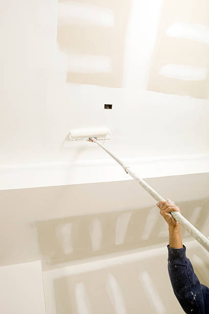 Blountstown, FL Mold Removal Company